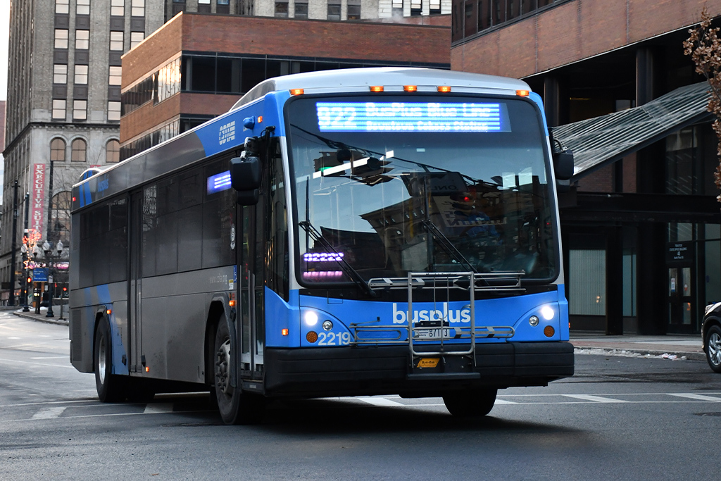 bus plus blue downtown albany