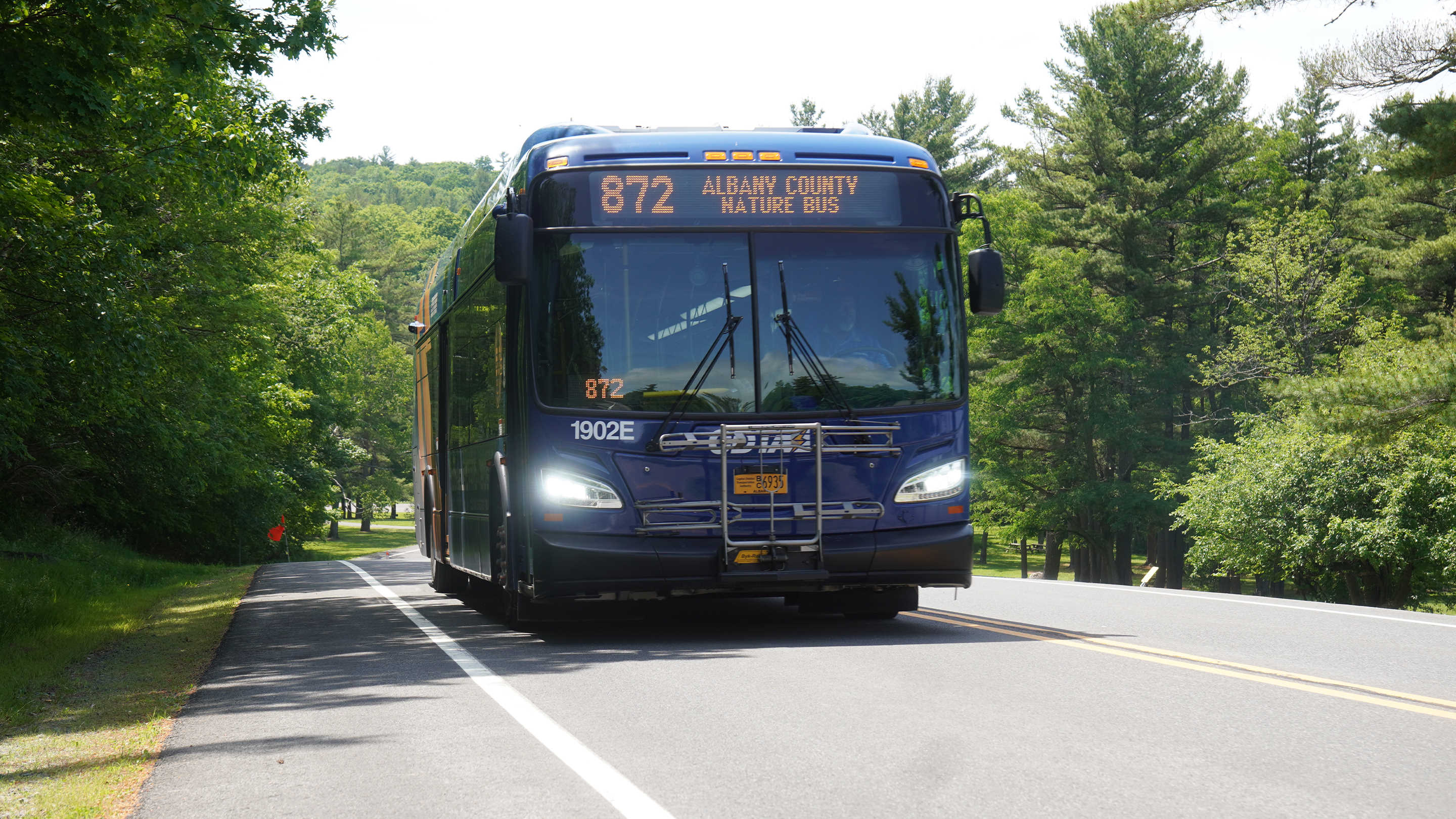 Hop On The Nature Bus