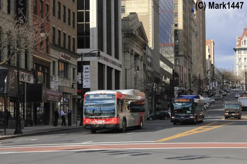 buses