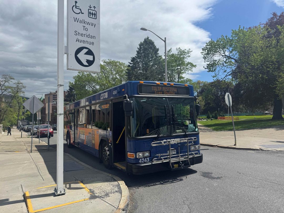 CDTA to Provide Free Shuttle Service for the 78th Annual Albany Tulip Festival