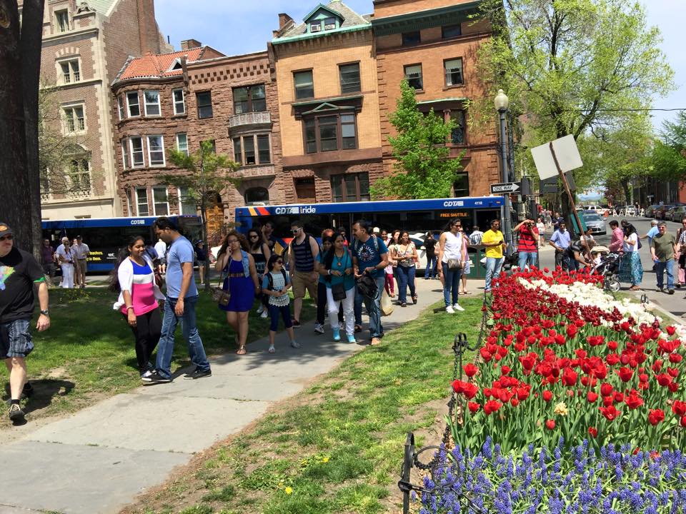 Tulip Festival Shuttle