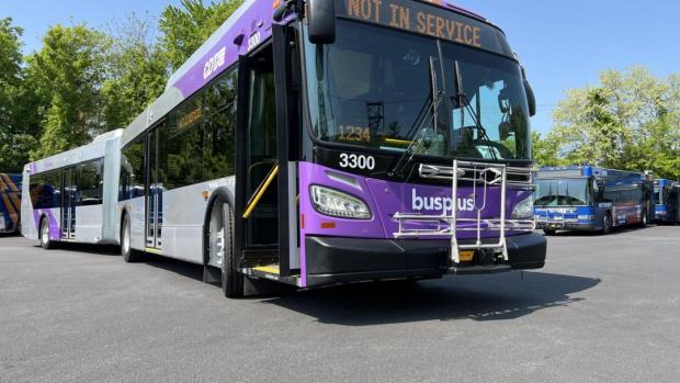 BusPlus Purple Line BusPlus Purple Line