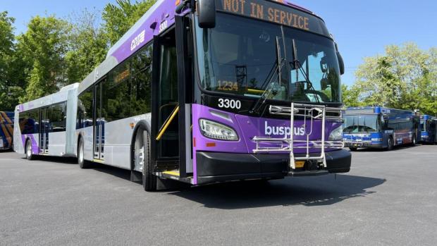 BusPlus Purple Line