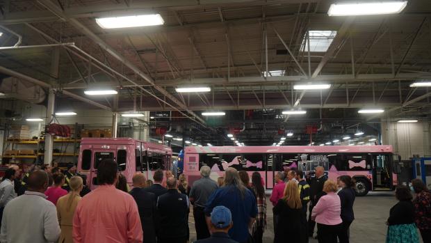Pink bus reveal Pink bus reveal